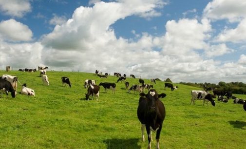 Dairy Processing Technology Centre signs MoU with VistaMilk paving the way for future dairy collaborations