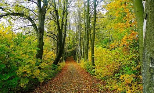 €11m funding for rural recreation projects