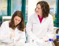 Irish Genetics Company Wins €1.8 Million ‘Beyond Food Labelling’ R&D Grant