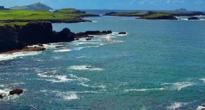Bio-marine Ingredients Ireland Welcomes Significant Enterprise Ireland Support