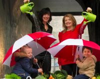 GIY and Energia Want to ‘Get Ireland Growing’ With €75,000 Fund