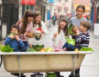 Deadline For Applications For €75,000 ‘Get Ireland Growing’ Fund Looming