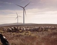 ESB Launches a Call to Action For a Cleaner Energy Future