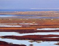 The Green Academy – Leave Only Footprints