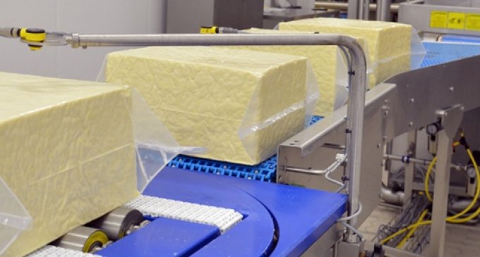 First Milk announces £12.5 million investment in cheese and whey processing facilities