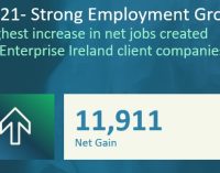 Highest annual increase in net employment reported by Enterprise Ireland