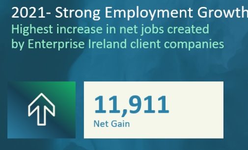Highest annual increase in net employment reported by Enterprise Ireland
