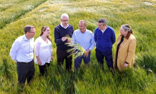 Diageo to Invest €200 Million in Ireland’s First Purpose-Built Carbon Neutral Brewery in Kildare