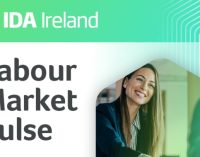 Green Talent is on the rise – increased focus required to meet Ireland’s climate targets – Labour Market Pulse