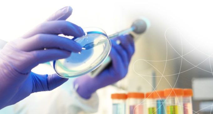 Boost UK manufacturing to attract £15 billion new investment, says medicines manufacturing alliance