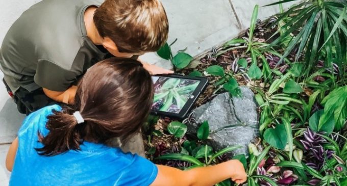 Growing the food sector: UK-Canada partnership to yield greater innovation