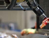 Over five million cartons recycled since launch of dedicated sorting at Ireland’s largest MRF