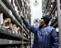 GCCA releases 2025 “Global Top 25 List” of refrigerated warehouse and logistics providers