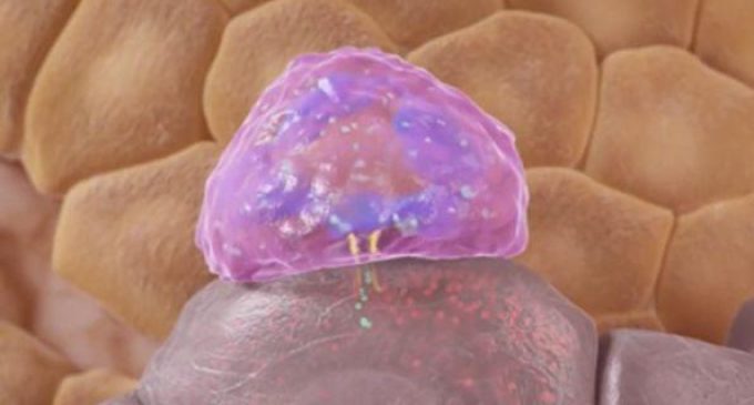 LIfT BioSciences announces partnership with University of Galway