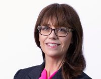 New Chief Executive Officer appointed at Enterprise Ireland