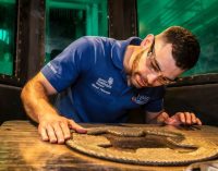 Scottish maritime project delivers 10% emissions cut and 90% faster lead times using large scale additive manufacturing