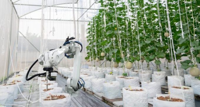 Driving agri-tech manufacturing forward in the UK