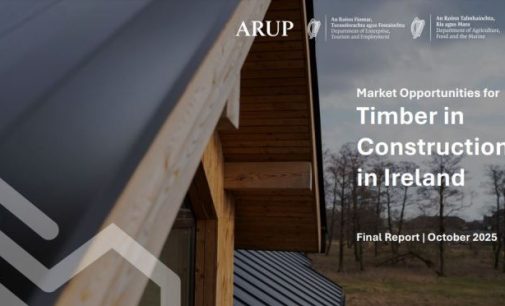 Ireland must realise ‘massive opportunity’ as timber construction set to triple market value and deliver climate action
