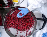 £54 million for medicines manufacturing growth and sustainability in the UK