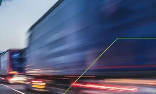 Irish growth momentum slows, while exporting and cross-border businesses provide a bright spot, underpinning resilience