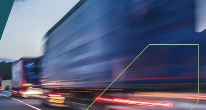 Irish growth momentum slows, while exporting and cross-border businesses provide a bright spot, underpinning resilience