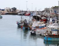 Seafood report shows UK import and export levels on the rise