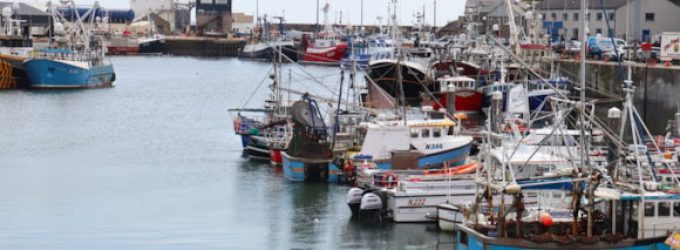 Seafood report shows UK import and export levels on the rise