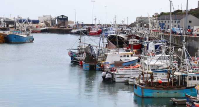 Seafood report shows UK import and export levels on the rise