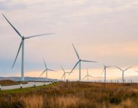 UK green ammonia prototype plant tackles energy storage challenge