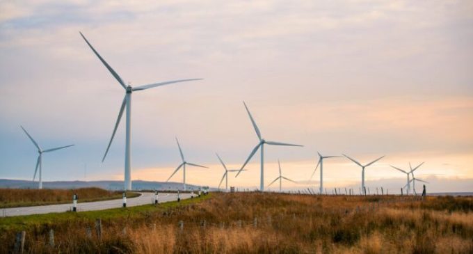 UK green ammonia prototype plant tackles energy storage challenge